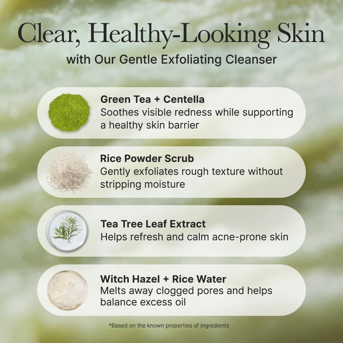 ARENCIA Korean Rice Cake Face Cleanser & Daily Scrub - Moisturizing, Brightening & Deep-Cleansing - All Skin Types, Vegan, Organic - with Rice Powder, Rice Water & Green Tea (4.23oz)